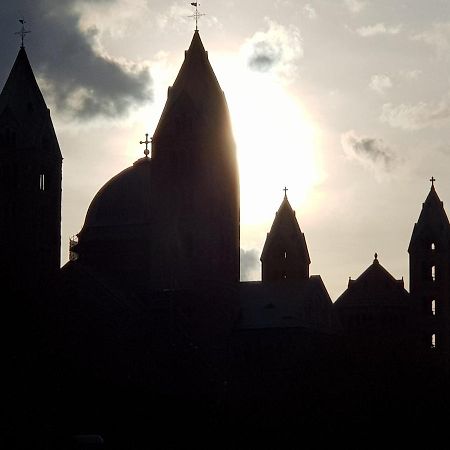 Appartamento Wohnen Direkt Am Rhein, Zentrums- Und Domnah, 55Qm Speyer Esterno foto