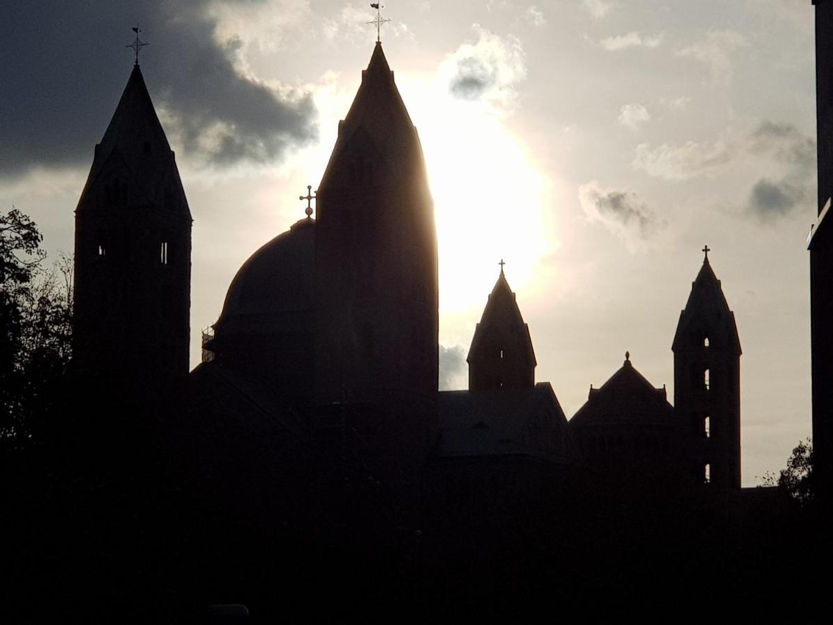 Appartamento Wohnen Direkt Am Rhein, Zentrums- Und Domnah, 55Qm Speyer Esterno foto