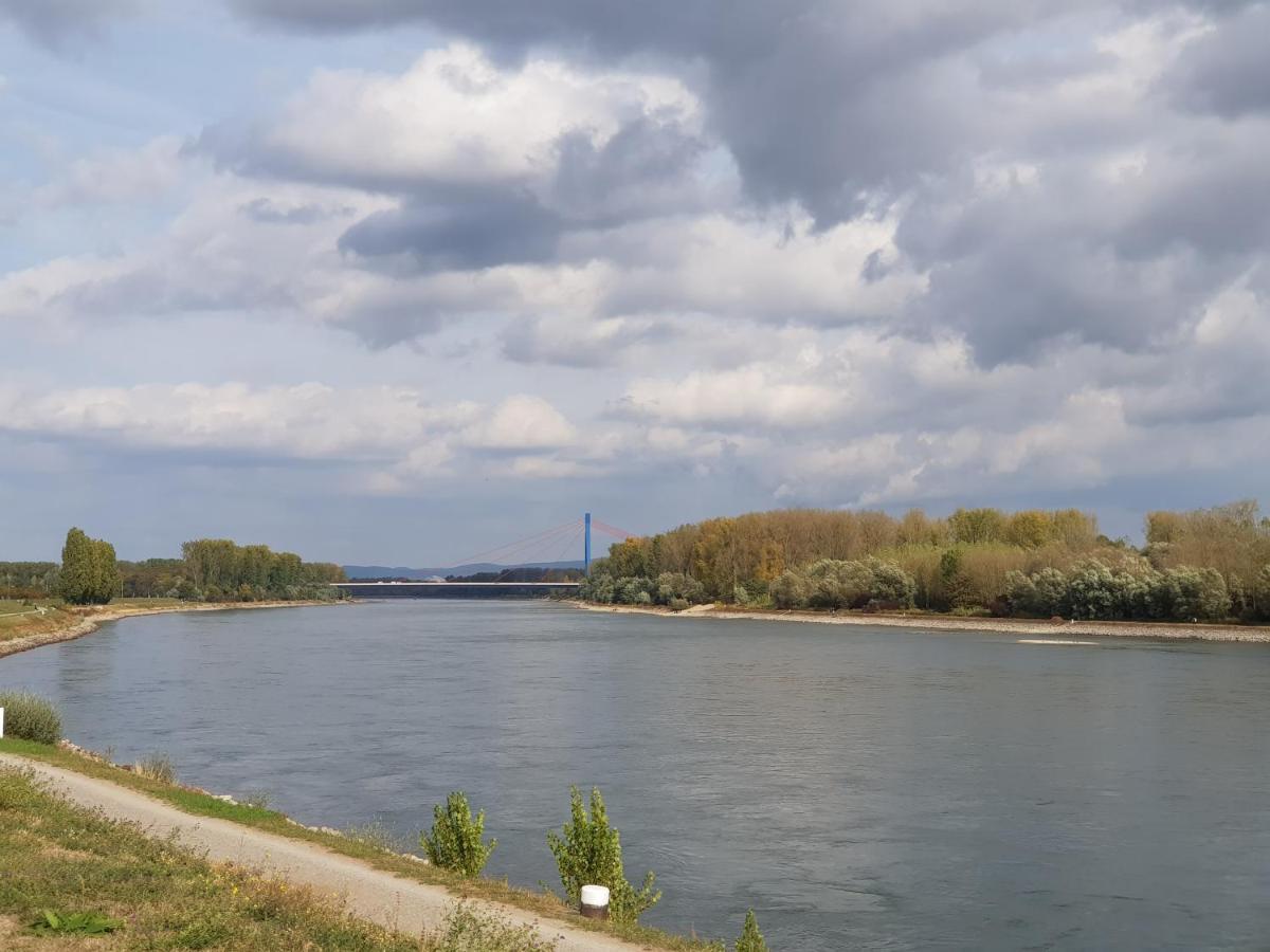 Appartamento Wohnen Direkt Am Rhein, Zentrums- Und Domnah, 55Qm Speyer Esterno foto